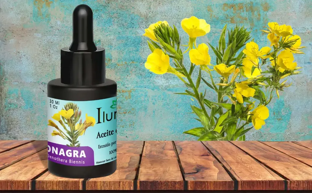 Aceite de Onagra 1 onza 30 ml