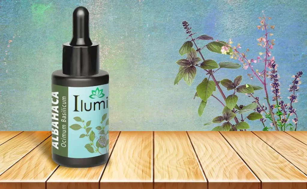 Aceite esencial de Albahaca 30 ML