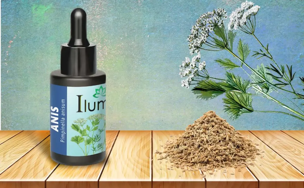 Aceite esencial de Anis 10 Ml
