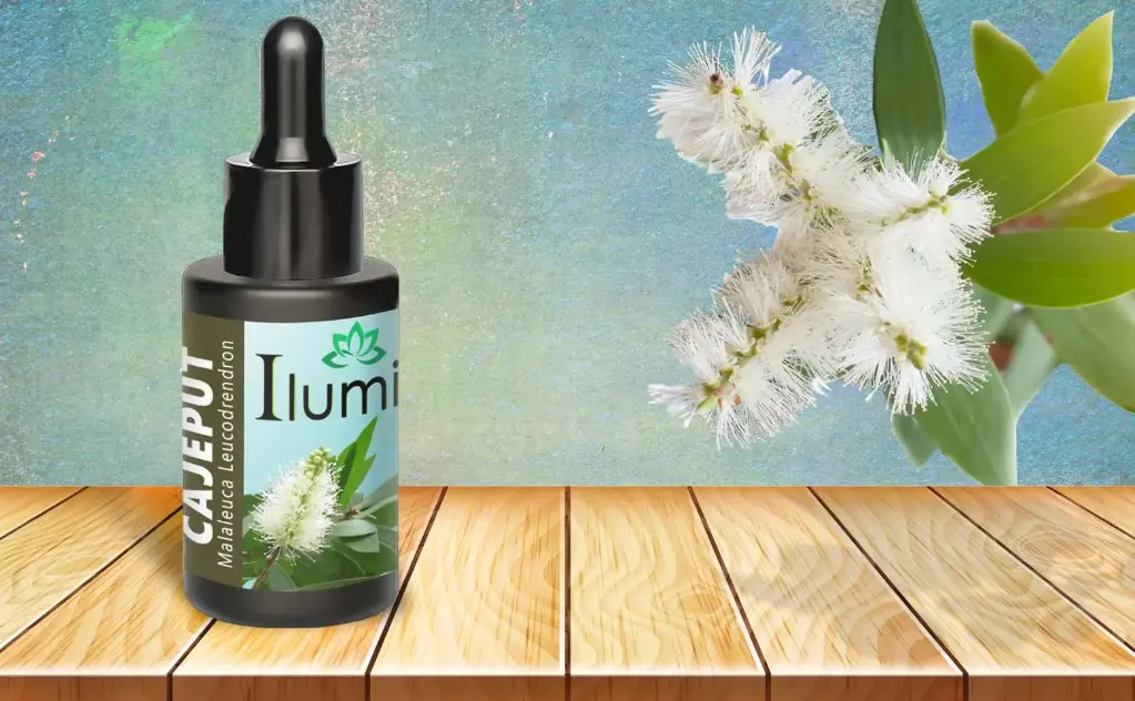 Aceite esencial de Cajeput 10 Ml