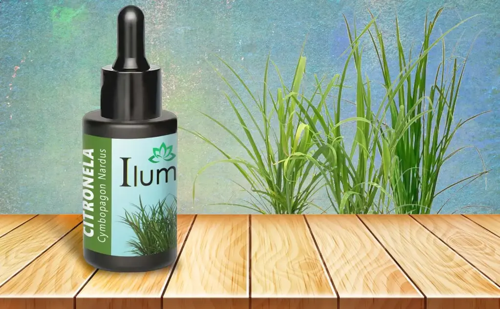 Aceite esencial de Citronela 10 Ml