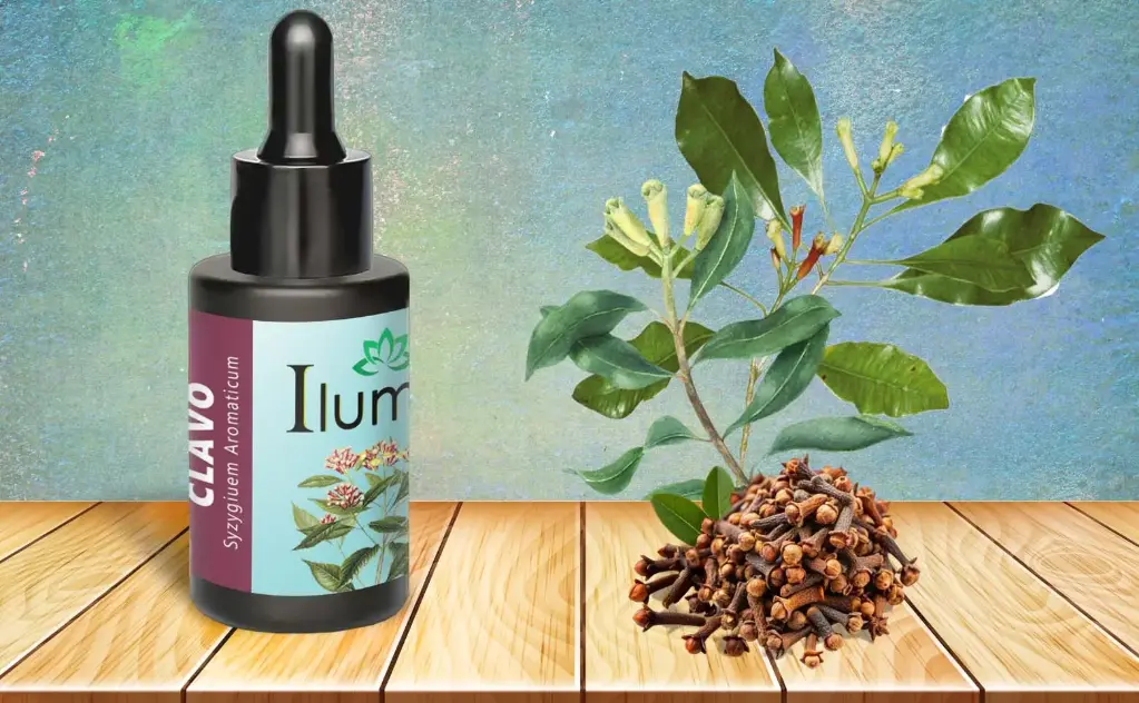 Aceite esencial de Clavo 10 Ml