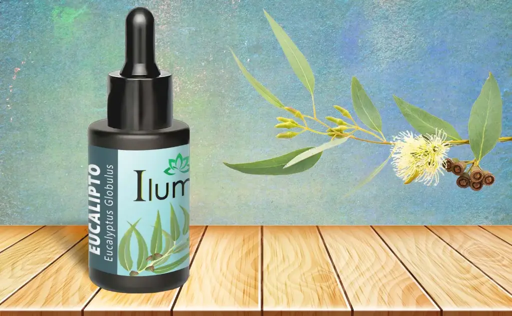 Aceite esencial de Eucalipto 30 ml