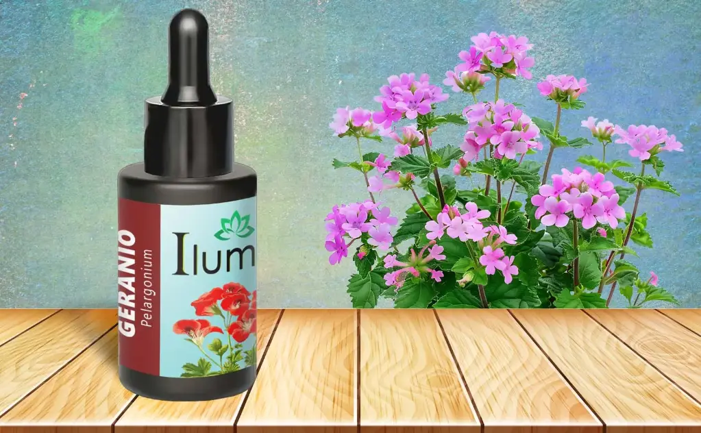 Aceite esencial de Geranio 10 Ml