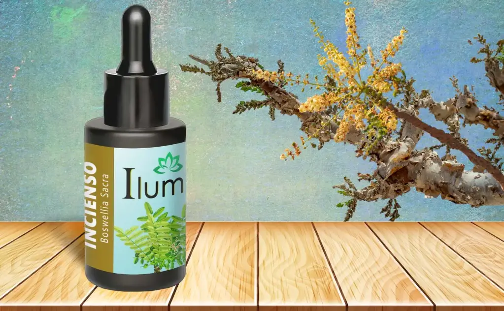 Aceite esencial de Incienso 10 Ml