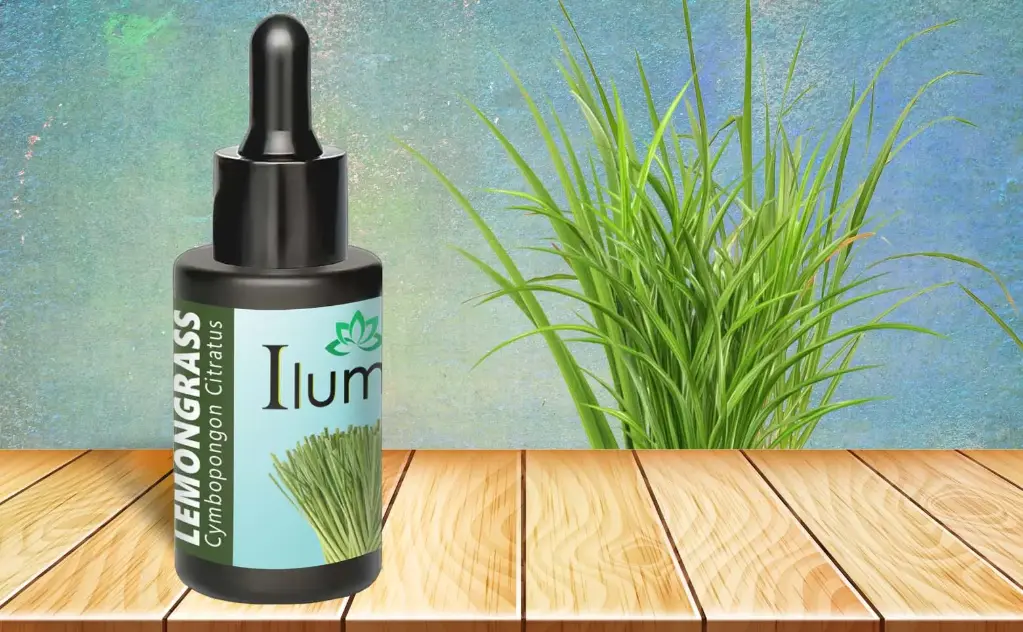Aceite esencial de Lemongrass 30 Ml
