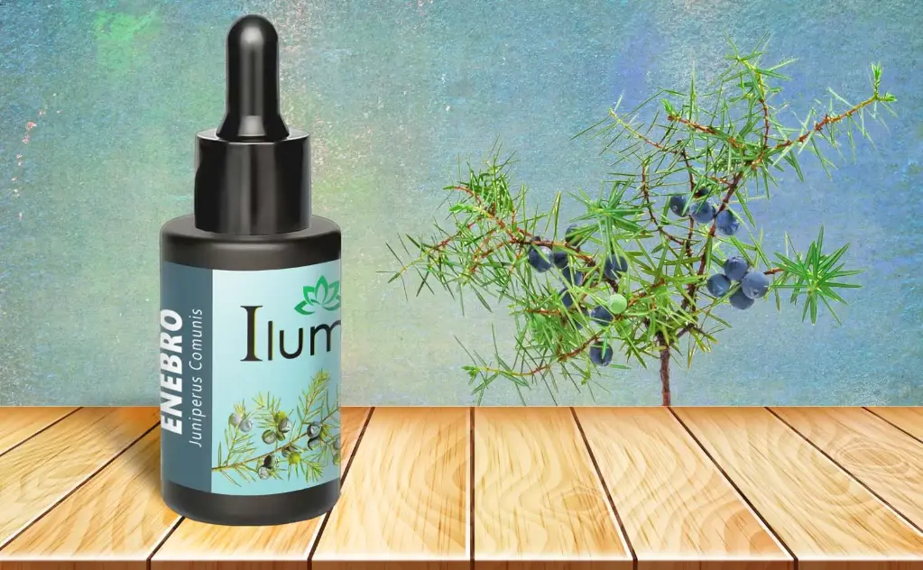 Aceite esencial de Enebro 10 Ml