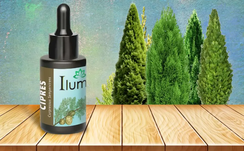 Aceite esencial de Ciprés 10 Ml