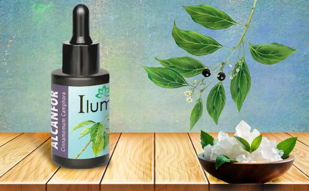 Aceite esencial de Alcanfor 10 ml