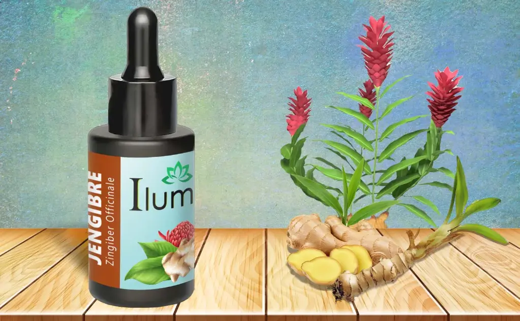 Aceite esencial de Jengibre 10 ml