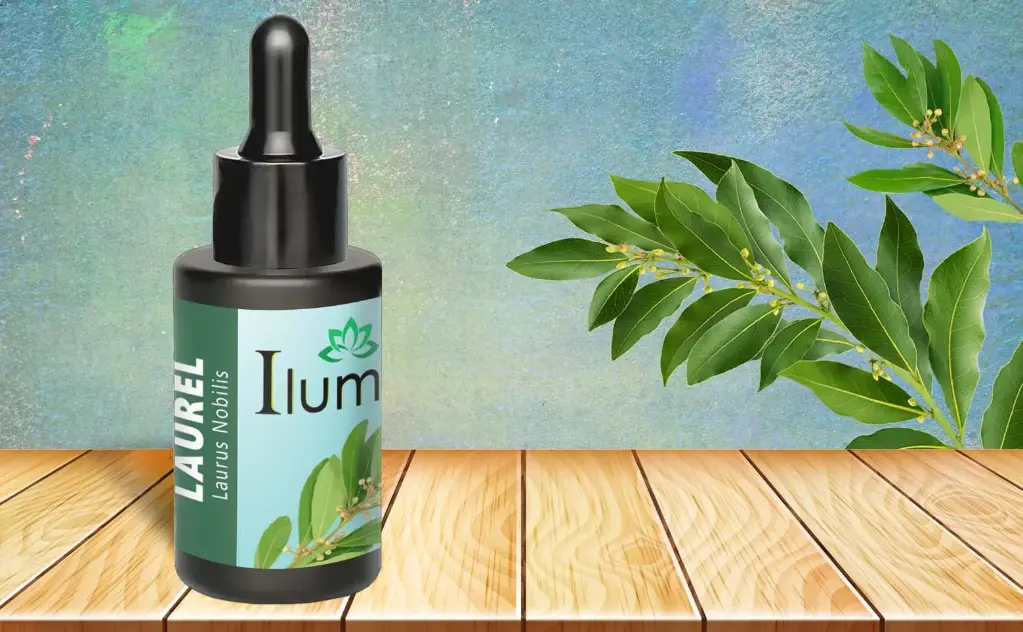 Aceite esencial de Laurel 30 ml