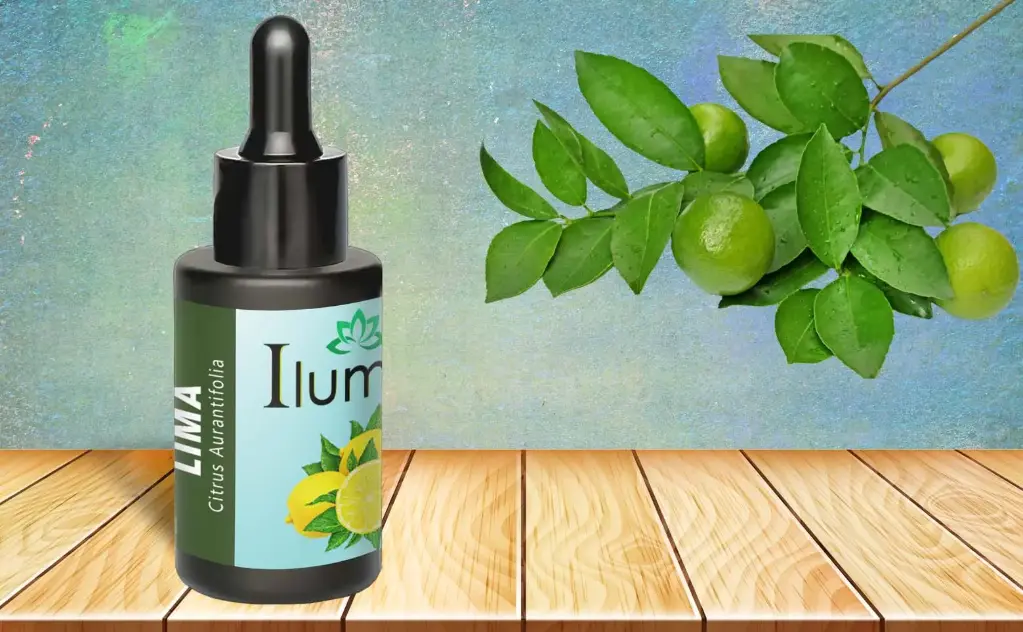 Aceite esencial de Lima 10 ml