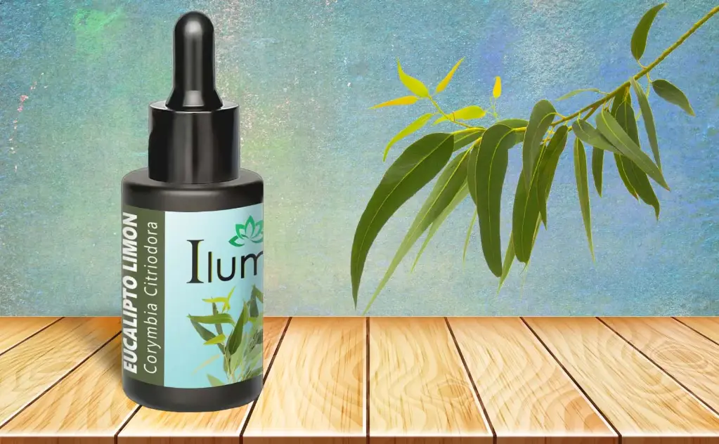 Aceite esencial de Eucalipto Limón 10 ml