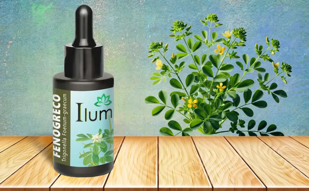 Aceite esencial de Fenogreco 30 ml