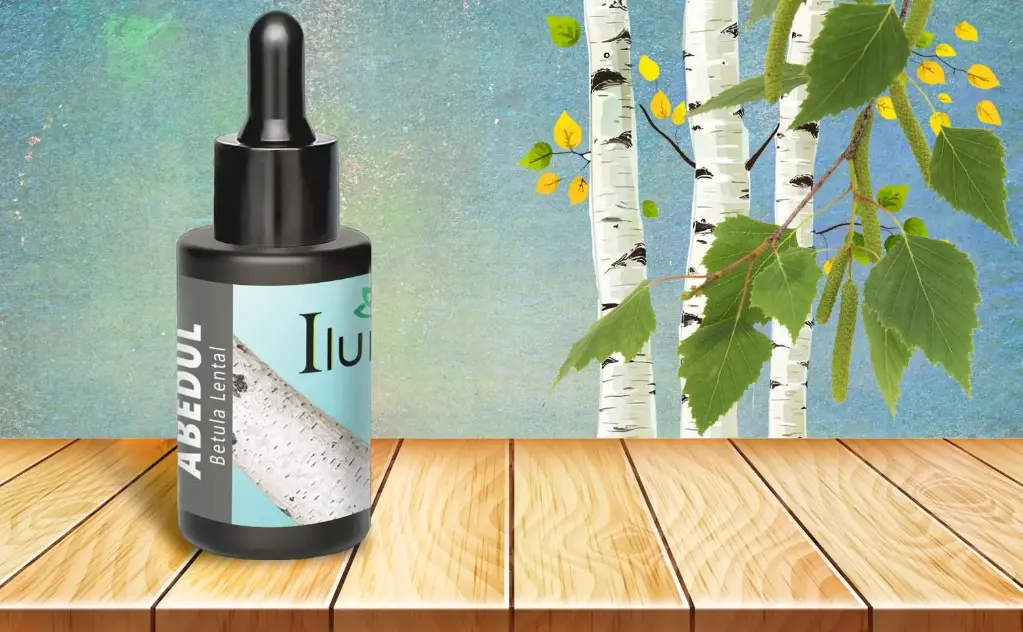 Aceite esencial de Abedul 10 ml