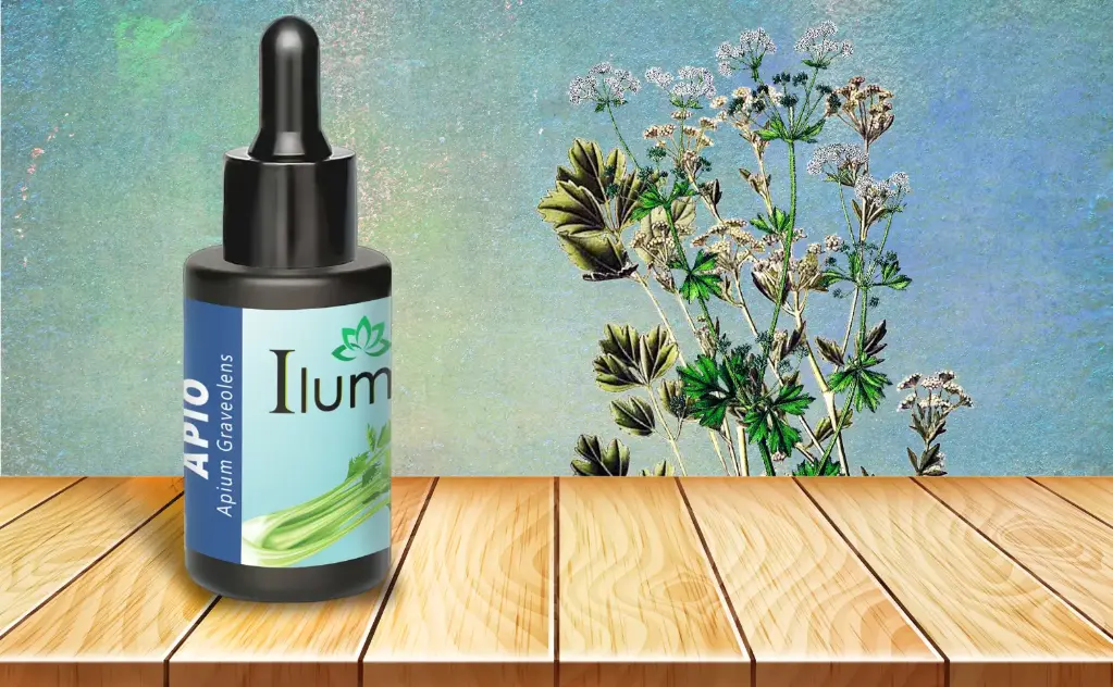 Aceite esencial de Apio 30 ml