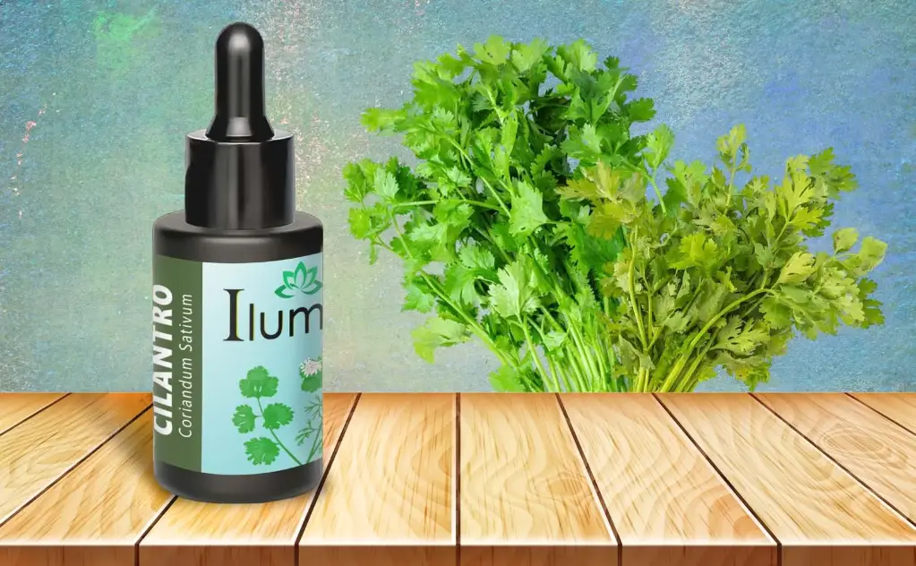 Aceite esencial de Cilantro 30 ml