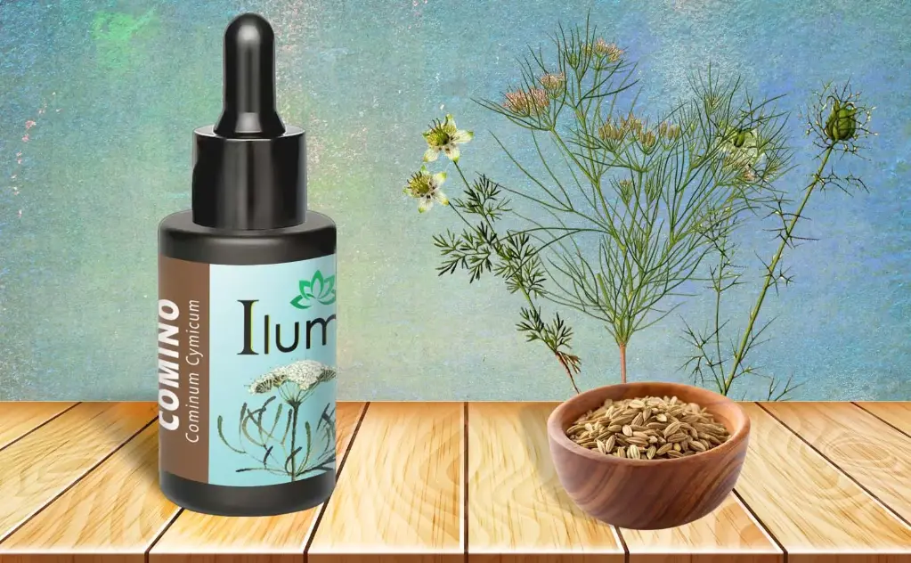 Aceite esencial de Comino 10 ml