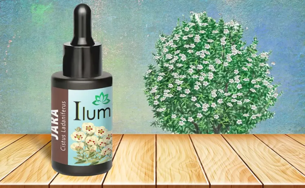 Aceite esencial de Jara (Cistus) 30 ml