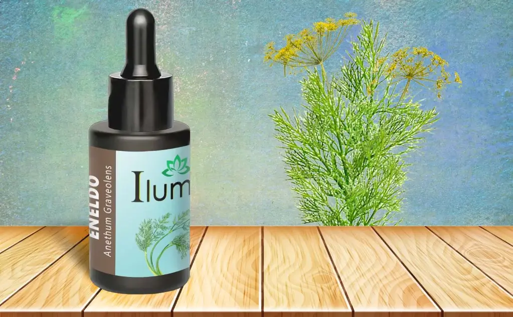 Aceite esencial de Eneldo 10 ml