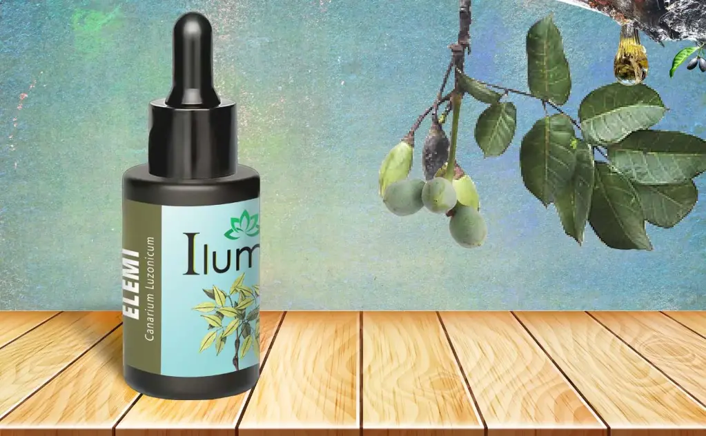 Aceite esencial de Elemi 10 ml