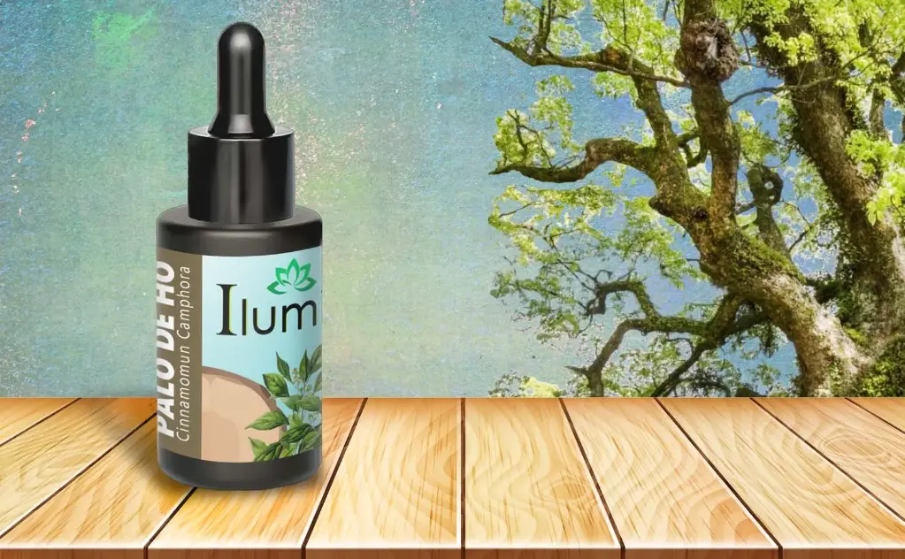 Aceite esencial de Arbol de Ho 30 ml