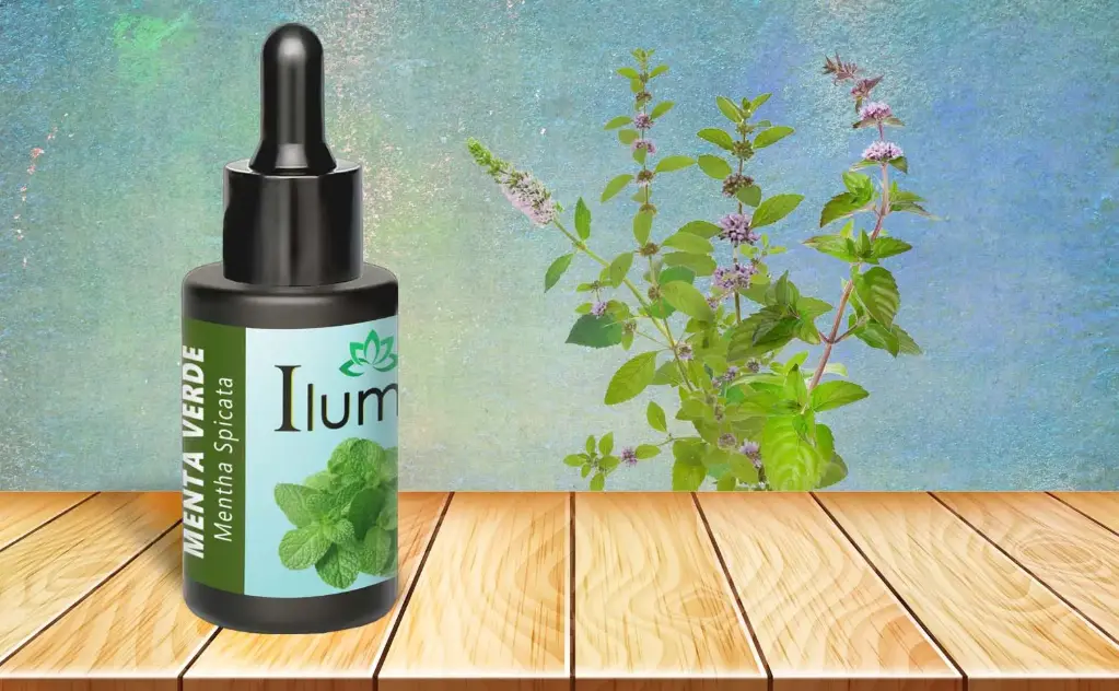 Aceite esencial de Menta Verde 10 Ml
