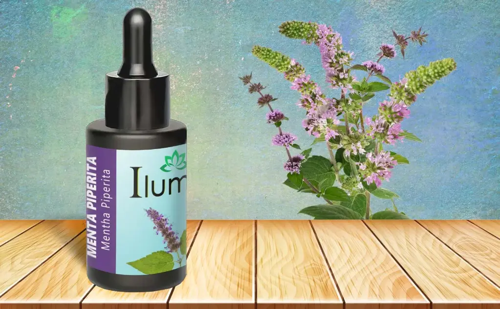 Aceite esencial de menta Piperita 10 Ml