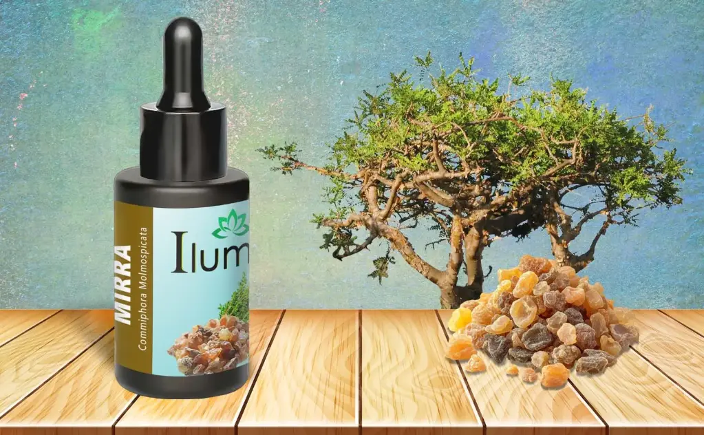 Aceite esencial de Mirra 10 Ml