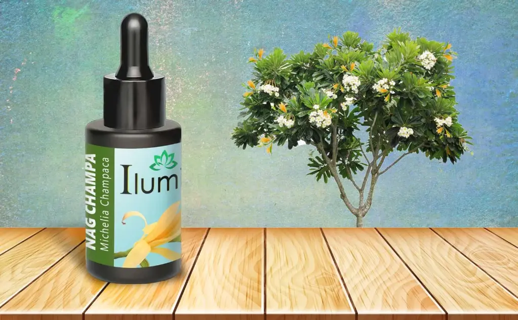 Aceite esencial de Nag Champa 10 Ml