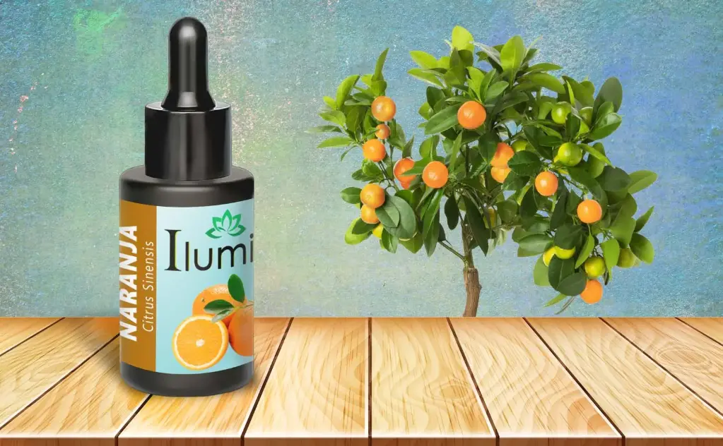 Aceite esencial de Naranja 10 Ml
