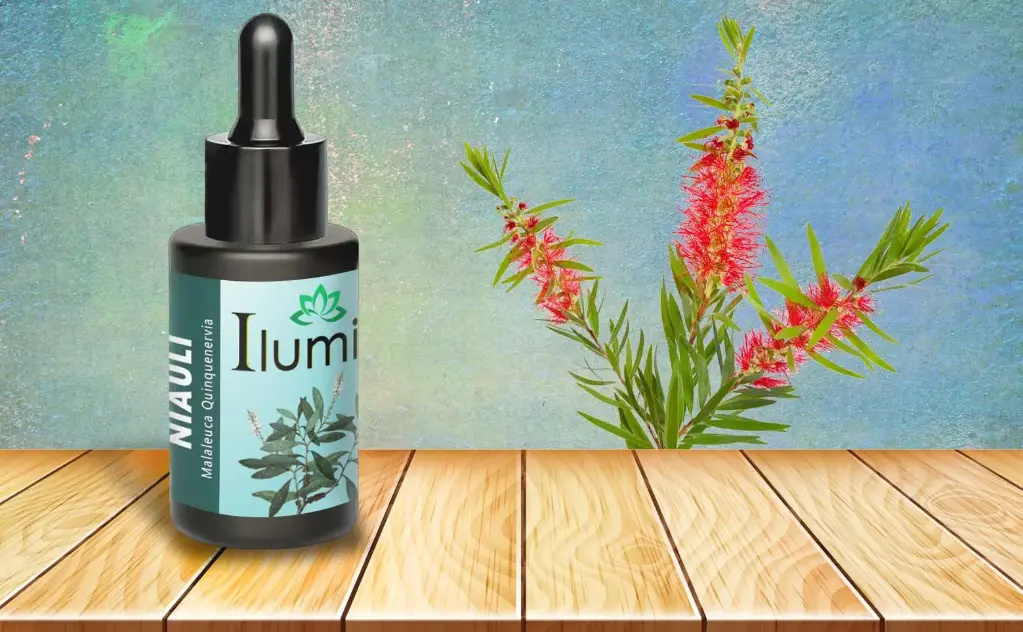 Aceite esencial de Niauli 10 Ml