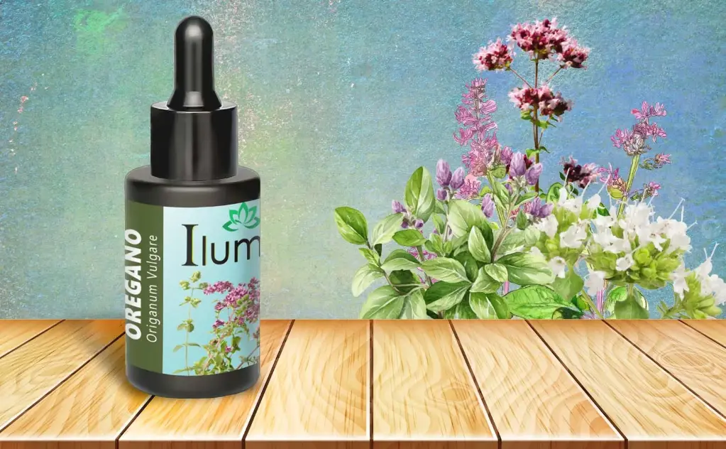 Aceite esencial de Oregano 10 Ml