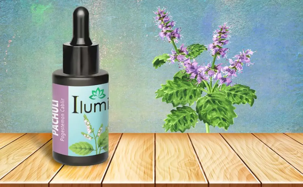 Aceite esencial de Pachuli 10 Ml