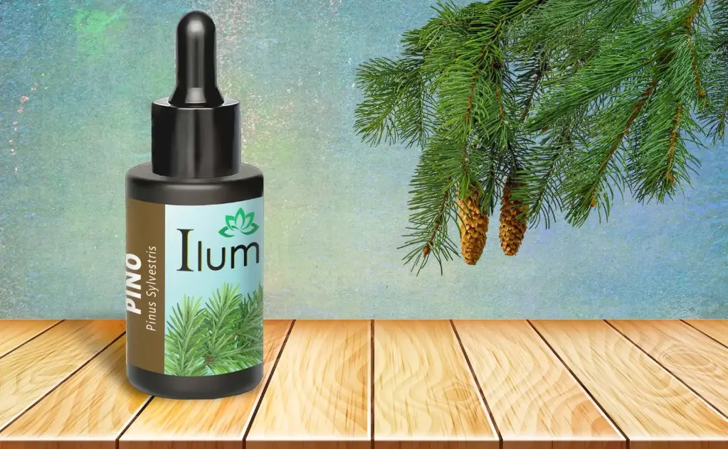 Aceite esencial de Pino 10 Ml