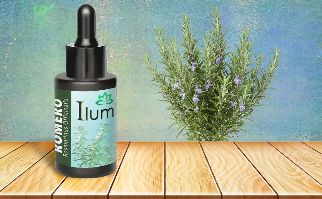 Aceite esencial de Romero 10 Ml