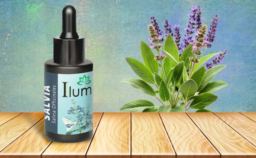 Aceite esencial de Salvia 10 Ml