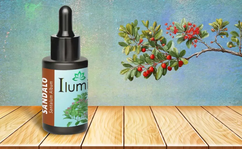 Aceite esencial de Sándalo 10 Ml