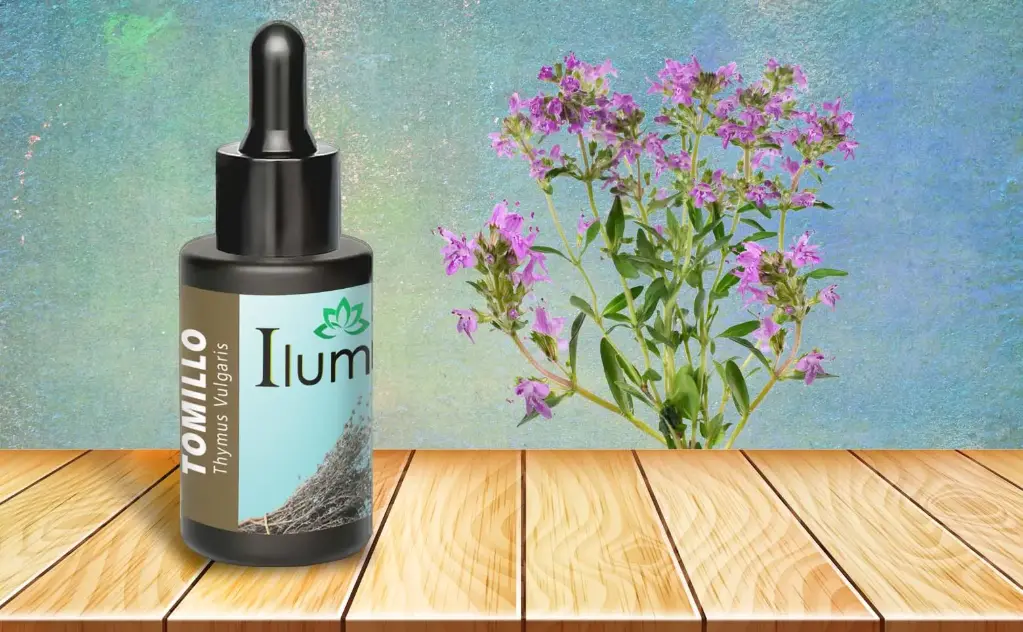 Aceite esencial de Tomillo 10 Ml