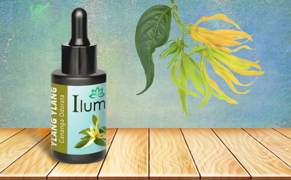 Aceite esencial de Ylang Ylang 10 Ml