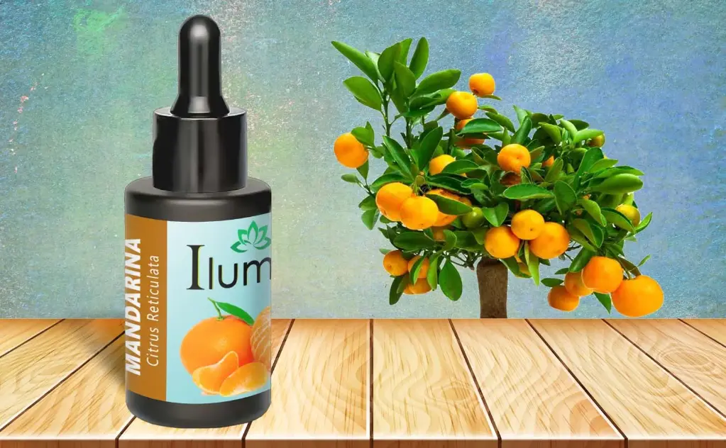 Aceite esencial de Mandarina 30 ml