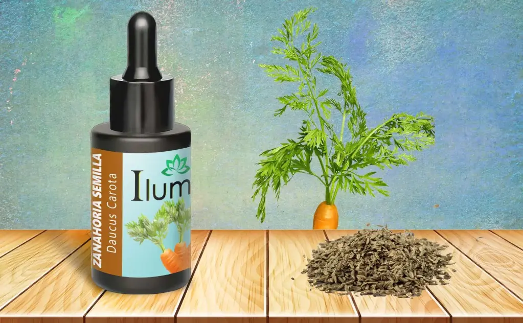 Aceite esencial de Zanahoria semilla 30 ml