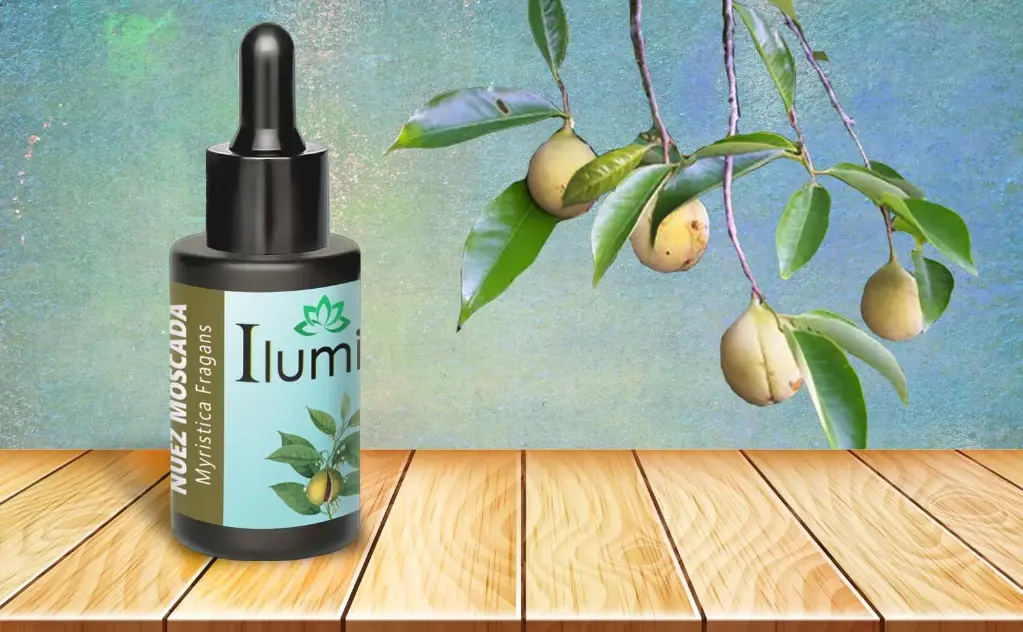 Aceite esencial de Nuez Moscada 10 ml