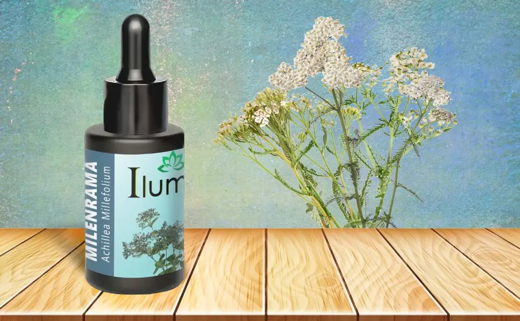 Aceite esencial de Milenrama 10 ml