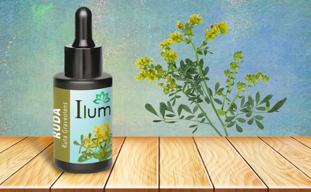 Aceite esencial de Ruda 10 ml