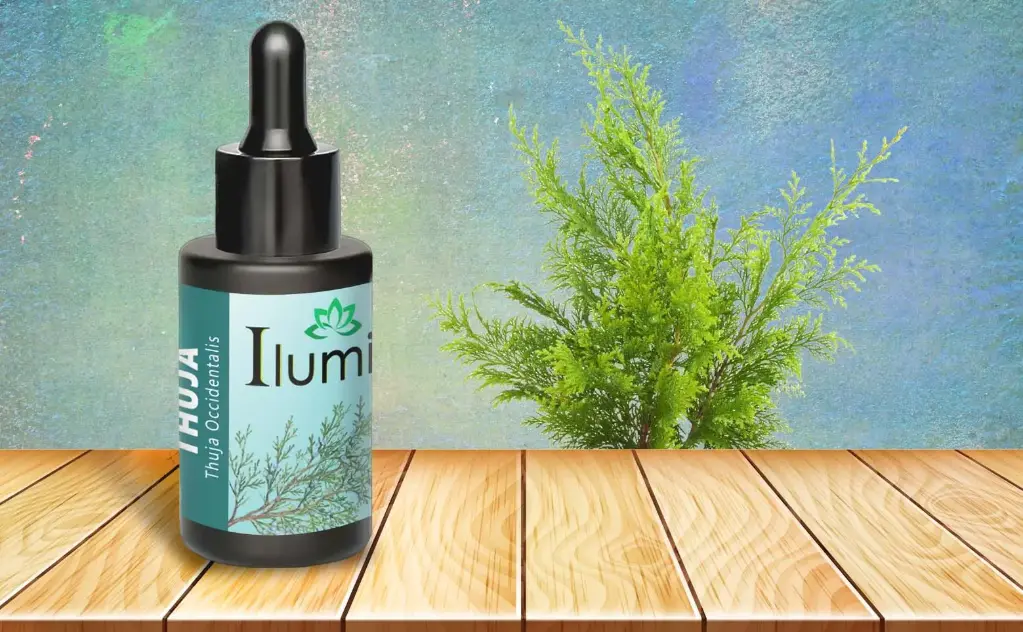 Aceite esencial de Thuya 30 ml