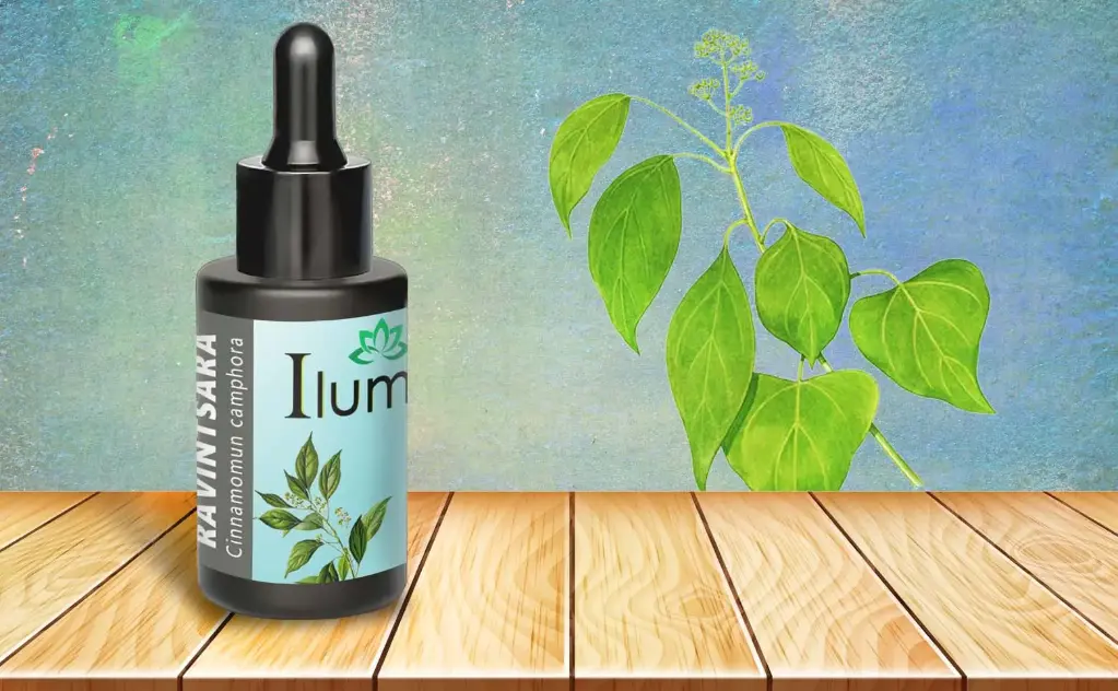 Aceite esencial de Ravintsara 10 ml