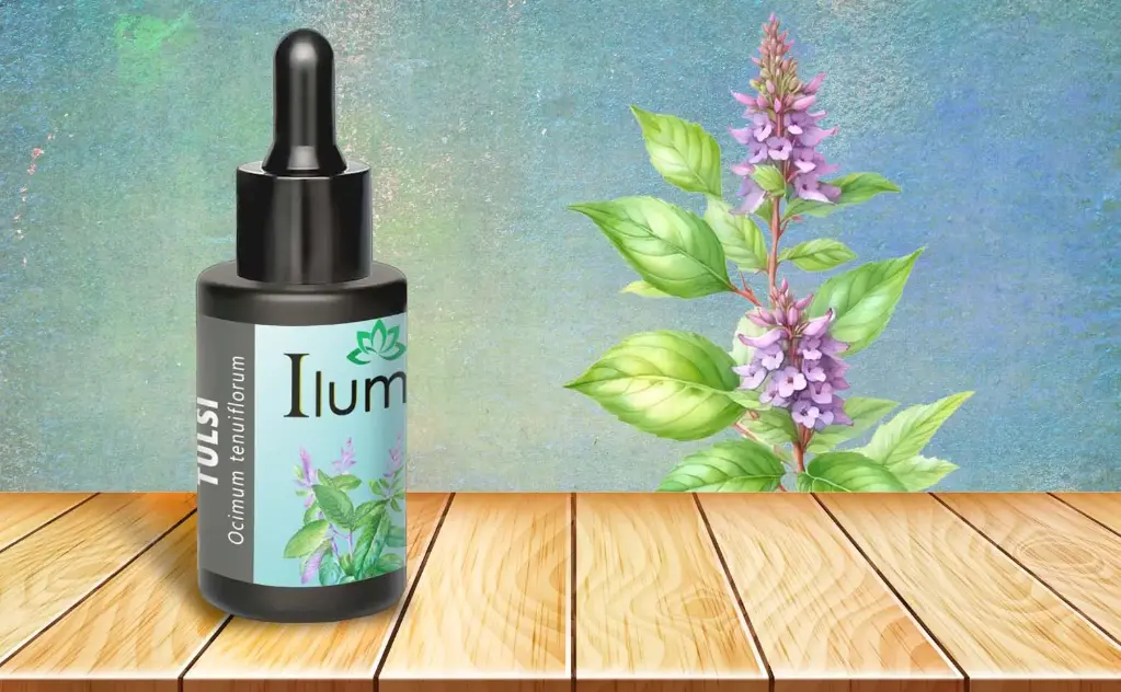 Aceite esencial de Tulsi 30 ml