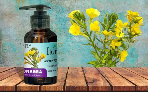 [52200153] Aceite de Onagra 2 onzas 60 ml