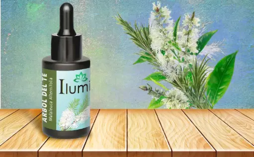 [52159042] Aceite esencial de Arbol del té 30 Ml